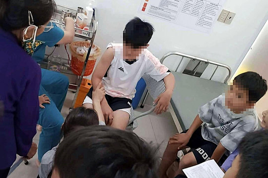 Chó thả rông nghi dại tấn công 6 người dân ở Nghệ An