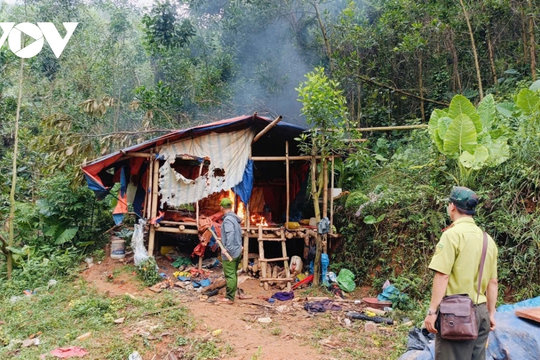Nhức nhối khai thác vàng trái phép ở A Lưới, TP Huế