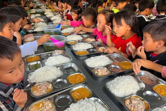 Bộ GD&ĐT siết chuẩn bữa ăn học đường, xây thực đơn dinh dưỡng toàn quốc