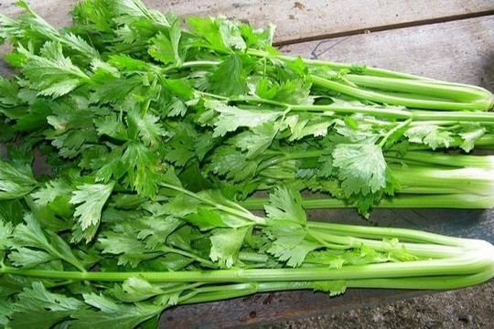 Muốn giải nhiệt, hỗ trợ gan khỏe mạnh, nên bổ sung ngay 4 loại rau này