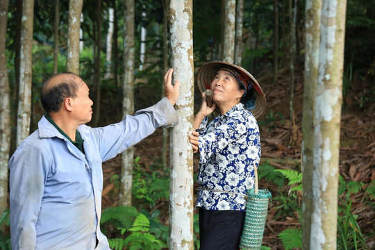 Đồng bào vùng cao Lào Cai làm theo lời Bác, xây dựng đời sống ấm no, hạnh phúc