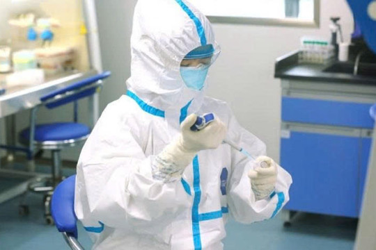WHO ban bố tình trạng khẩn cấp: Virus Ebola nguy hiểm đến mức nào?