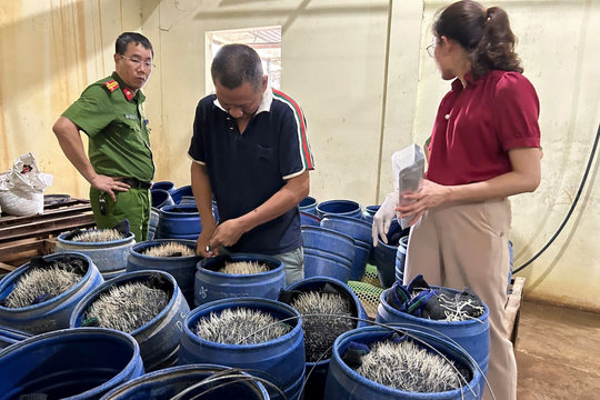 Phát hiện một cơ sở sản xuất giá đỗ sử dụng chất cấm ở Hải Phòng