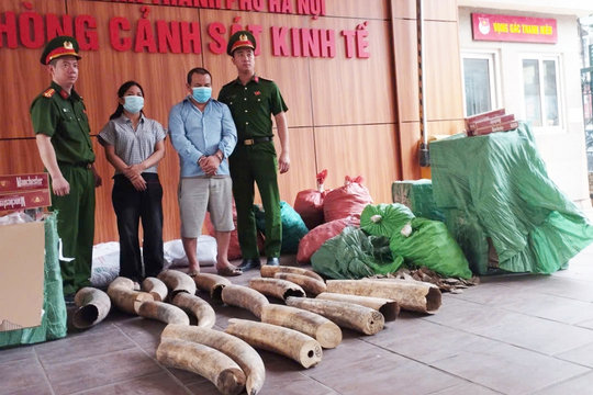 Triệt phá đường dây buôn bán 242kg ngà voi và gần 70.000 bao thuốc lá lậu