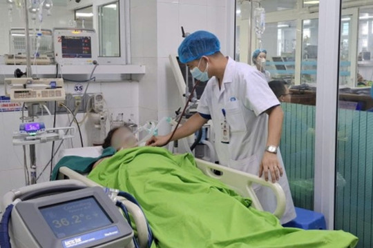 Ngất giữa đồng sau hai giờ gặt lúa dưới nắng gắt