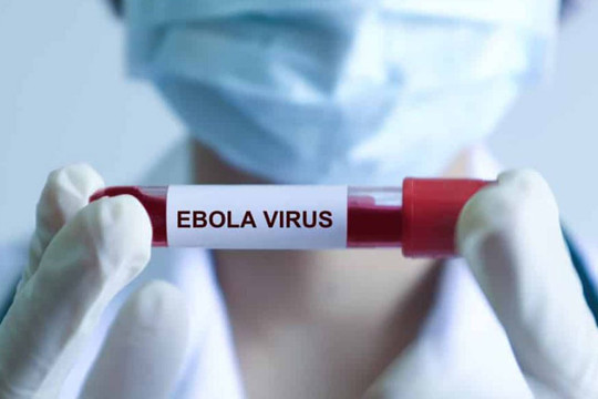 Bệnh Ebola tử vong đến 90%, Bộ Y tế ra chỉ đạo khẩn, yêu cầu cách ly nghiêm ngặt