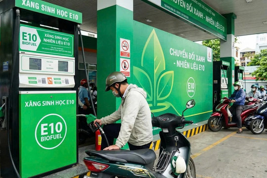 Hai câu chuyện dùng xăng E10 và lời khuyên của chuyên gia