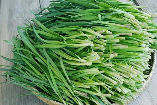 Những tác dụng của lá hẹ với sức khỏe ít người biết