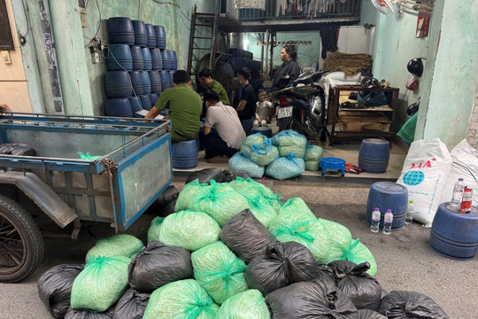 Khởi tố 4 bị can sản xuất hơn 1.000 tấn giá đỗ ngâm hóa chất