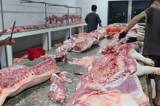 Xử lý 4 cơ sở giết mổ động vật trái phép tại Đồng Tháp
