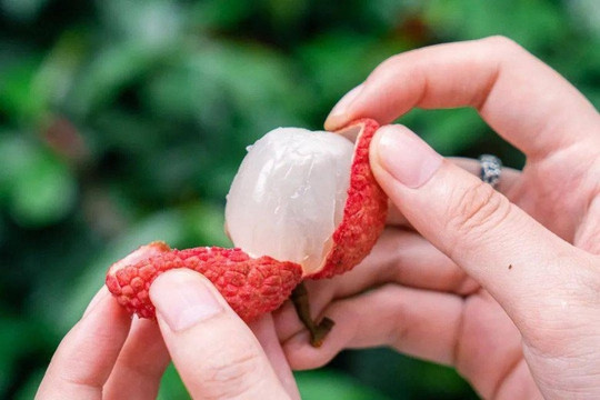 5 không khi ăn vải vào mùa hè ai cũng phải biết để tránh “mang họa vào thân”