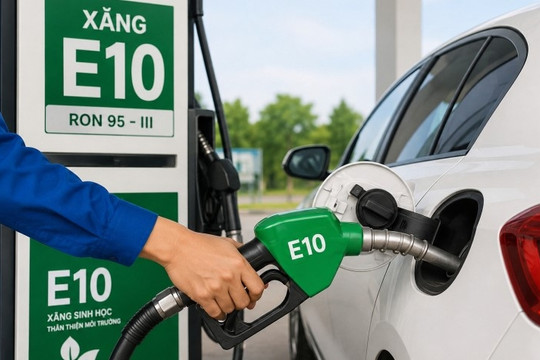 Các hãng xe lớn tại Việt Nam thông tin ô tô tương thích với xăng E10