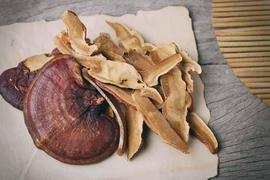 Sức khỏe ngày càng thăng hạng, không lo lão hóa nếu biết sử dụng vị thuốc bổ này