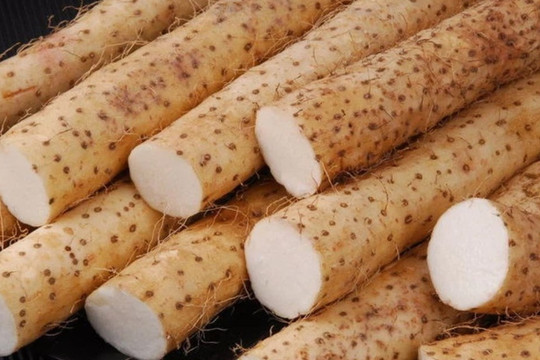 Tác dụng của củ mài tươi với sức khỏe