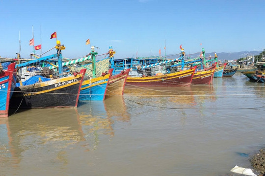 Tàu cá bị chìm trên biển Lâm Đồng, 2 lao động thoát thân an toàn