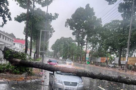 Giông lốc liên tiếp ở Đồng Tháp khiến nhiều nhà bị sập, cây đổ, thiệt hại tiền tỷ