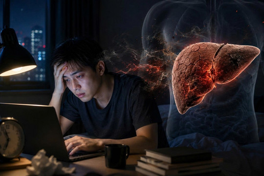 Thức khuya đang âm thầm “tàn phá” lá gan của bạn như thế nào?