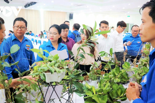 Đến 2030, ít nhất 25% doanh nghiệp khởi nghiệp mới do thanh niên làm chủ