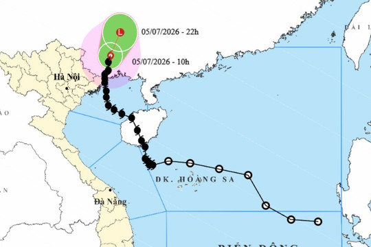 Hoàn lưu bão số 1 gây mưa lớn, Quảng Ninh khẩn trương triển khai ứng phó