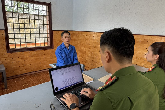Khởi tố người chồng sát hại vợ tại rẫy cà phê ở Đắk Lắk
