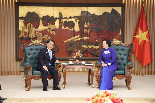 Phó Thủ tướng Phạm Thị Thanh Trà tiếp Thống đốc tỉnh Aichi, Nhật Bản