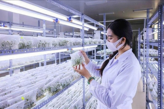 Nghị quyết 57/NQ-TW: Đột phá là đời sống của người dân được cải thiện rõ rệt hơn