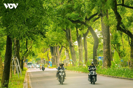 Thời tiết ngày 16/7: Bắc Bộ có mưa dông cục bộ, Tây Nguyên và Nam Bộ có mưa rào