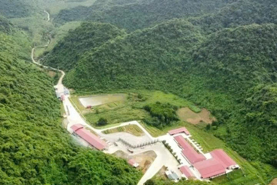 Khởi tố vụ án tai nạn lao động tại trại lợn khiến 5 người tử vong ở Thanh Hóa