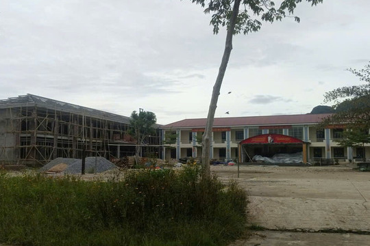 Tham gia đường dây cá độ bóng đá, hiệu trưởng bị đình chỉ chức vụ
