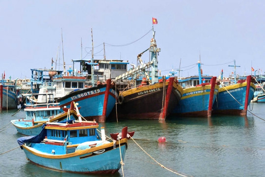 Lâm Đồng chủ động ứng phó với áp thấp nhiệt đới và gió mạnh trên biển