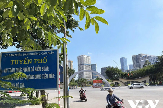 Hà Nội sắp có phố đi bộ thông minh đầu tiên tại phố Thành Thái