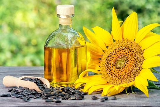 Dầu hướng dương có gì đặc biệt mà được nhiều gia đình lựa chọn?