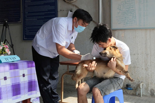 Tây Ninh ghi nhận 9 người tử vong do bệnh dại