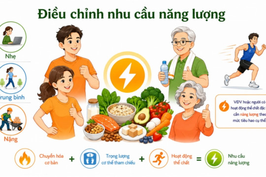 Bữa ăn hàng ngày cần bổ sung những chất dinh dưỡng nào?