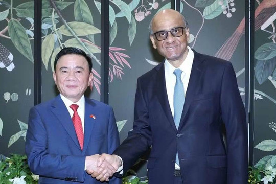 Thường trực Ban Bí thư Trần Cẩm Tú hội kiến Tổng thống Singapore