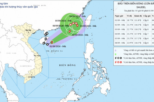 Bão số 5 hình thành trên Biển Đông, giật cấp 10