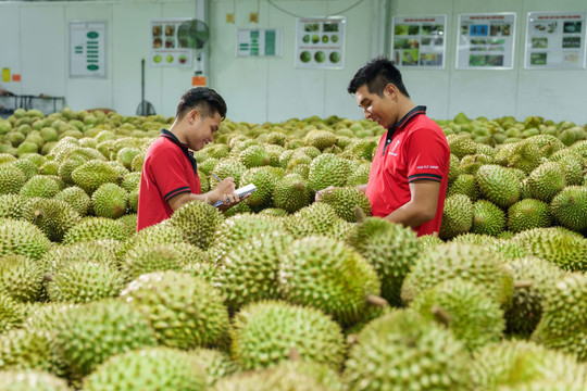 Xuất khẩu sầu riêng có thể cán mốc 4 tỷ USD trong năm 2026