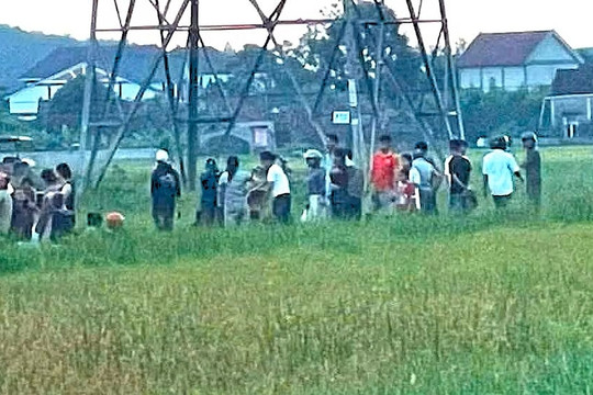 Bị phóng điện, người đàn ông lái máy gặt lúa ở Nghệ An tử vong