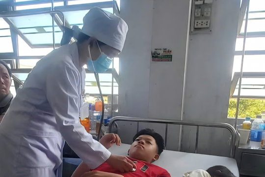 Vi khuẩn Salmonella trong nhân bánh mì khiến 254 người ngộ độc tại An Khê, Gia Lai