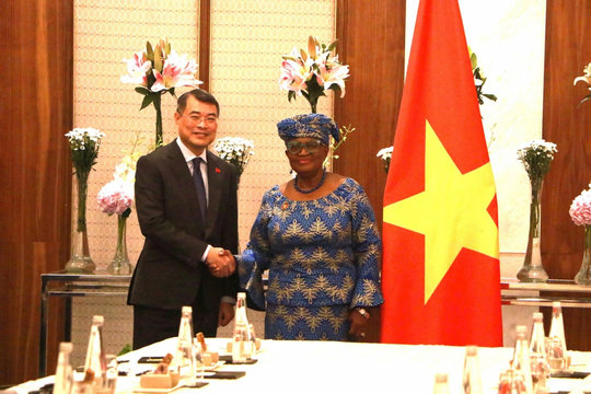 Thủ tướng Lê Minh Hưng tiếp Tổng giám đốc Tổ chức Thương mại Thế giới