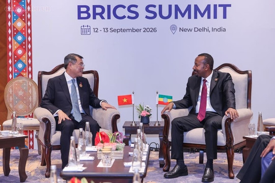 Thủ tướng Lê Minh Hưng gặp Thủ tướng Ethiopia Abiy Ahmed Ali