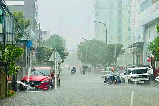 Mưa xối xả, nhiều tuyến đường đô thị Vinh ở Nghệ An ngập sâu cả mét