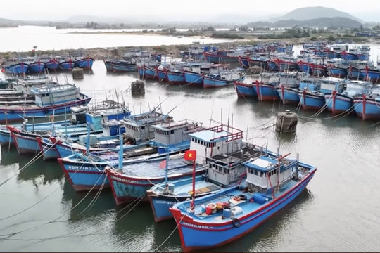 Quảng Ngãi không để tàu cá không đủ điều kiện ra khơi