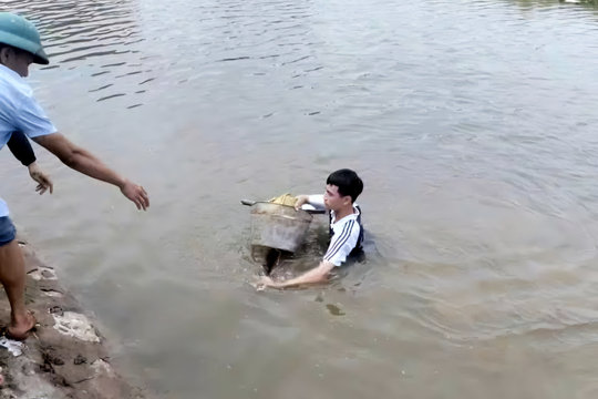 Nam sinh lớp 11 dũng cảm lao xuống sông cứu hai em nhỏ