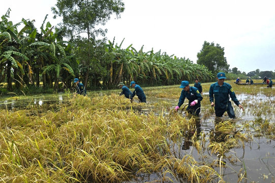 Tập trung chống ngập, hỗ trợ người dân giảm thiểu thiệt hại tại Cà Mau