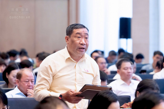 Đại biểu Quốc hội: Cân nhắc kỹ việc hoãn xuất cảnh, cắt điện nước để cưỡng chế xử phạt