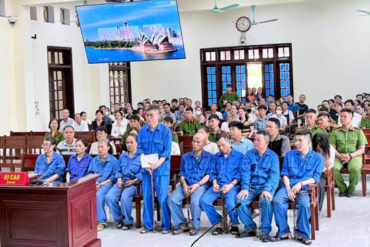 17 bị cáo lĩnh án vụ thịt lợn nhiễm dịch tả châu Phi tại Công ty Đồ hộp Hạ Long
