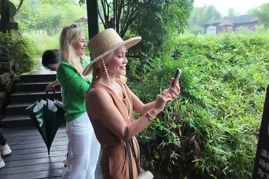 Văn hóa trà trở thành điểm nhấn mới của du lịch Trung Quốc