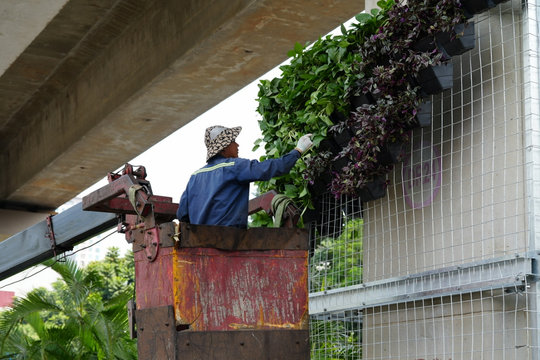 Hà Nội bắt đầu thí điểm phủ xanh trụ cầu, hầm chui, nhà chờ xe buýt
