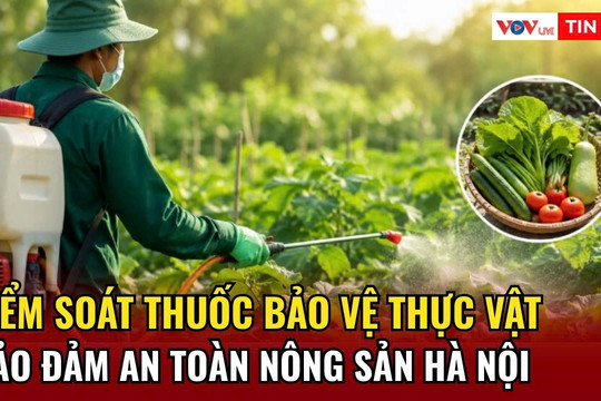 Kiểm soát thuốc bảo vệ thực vật, bảo đảm an toàn nông sản Hà Nội